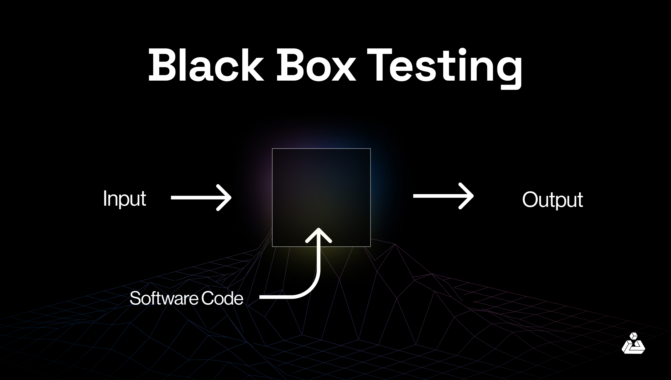 Black Box Penetration Testing 