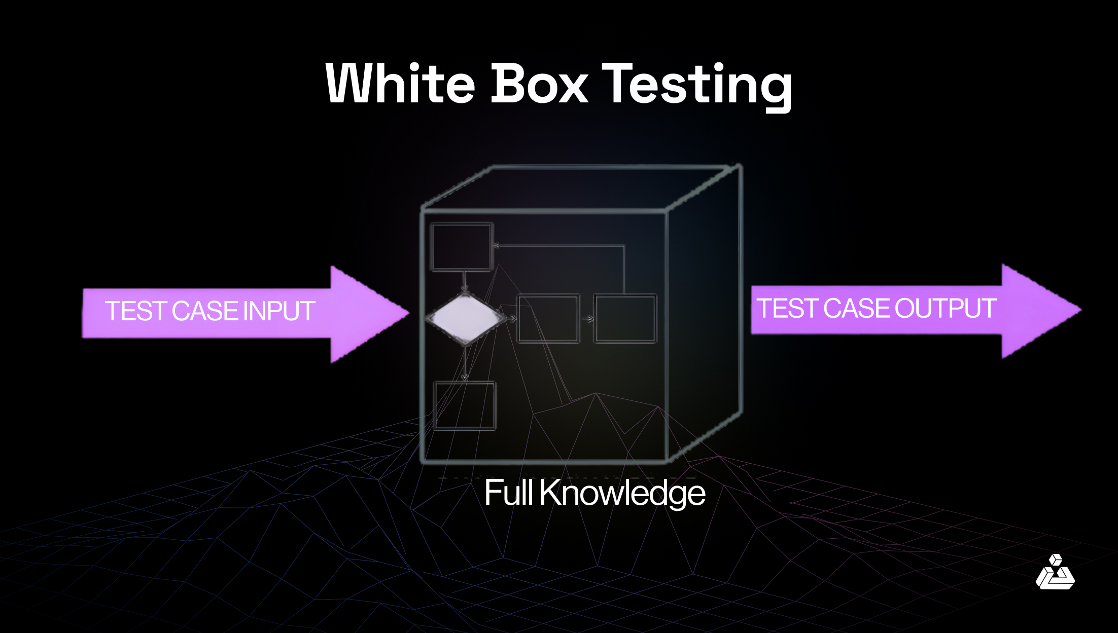 White Box Penetration testing