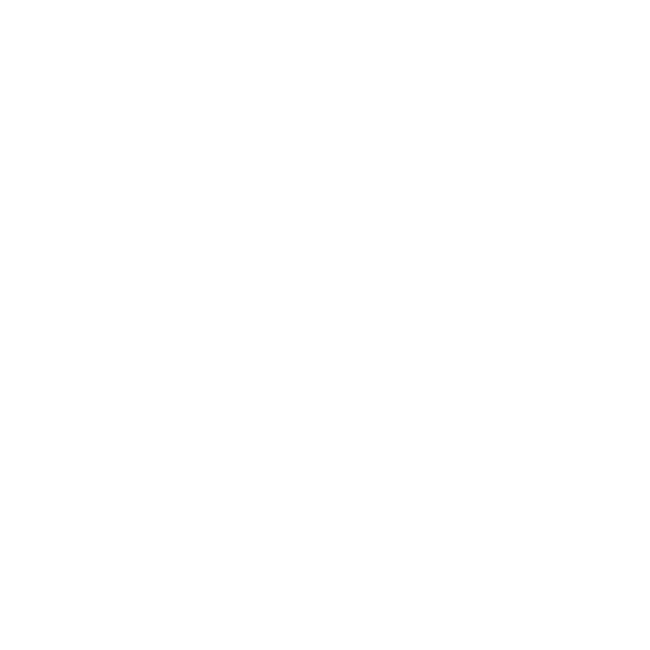 spin-star